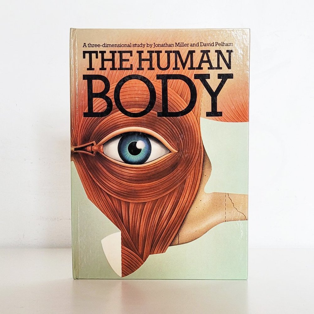 2/$50 - The Human Body Pop-up Hardcover Book by Jonathan Miller and David Pelham